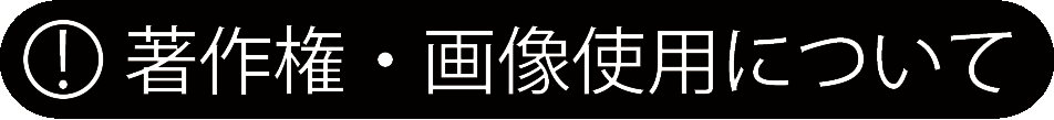 画像：著作権・画像使用について_アイコン